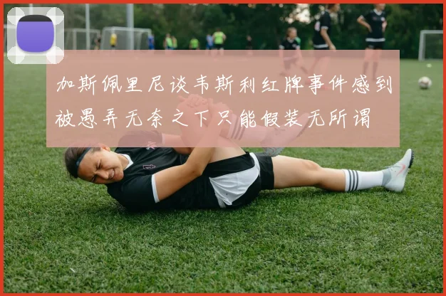 加斯佩里尼谈韦斯利红牌事件感到被愚弄无奈之下只能假装无所谓